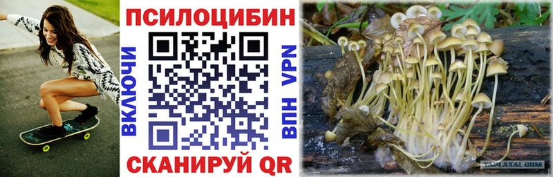 Псилоцибиновые грибы мухоморы  Южно-Сахалинск 